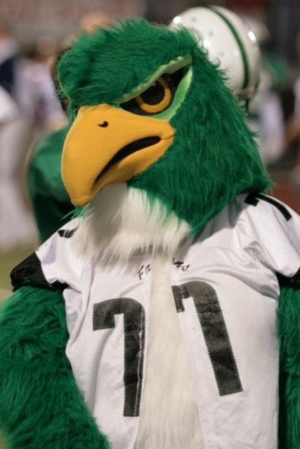 Falcons mascot
