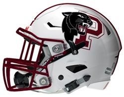 Princeton Panthers helmet