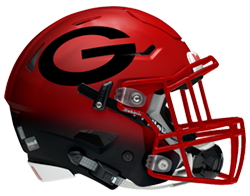 Greenville Lions helmet